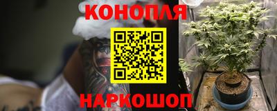 дмт Камышлов