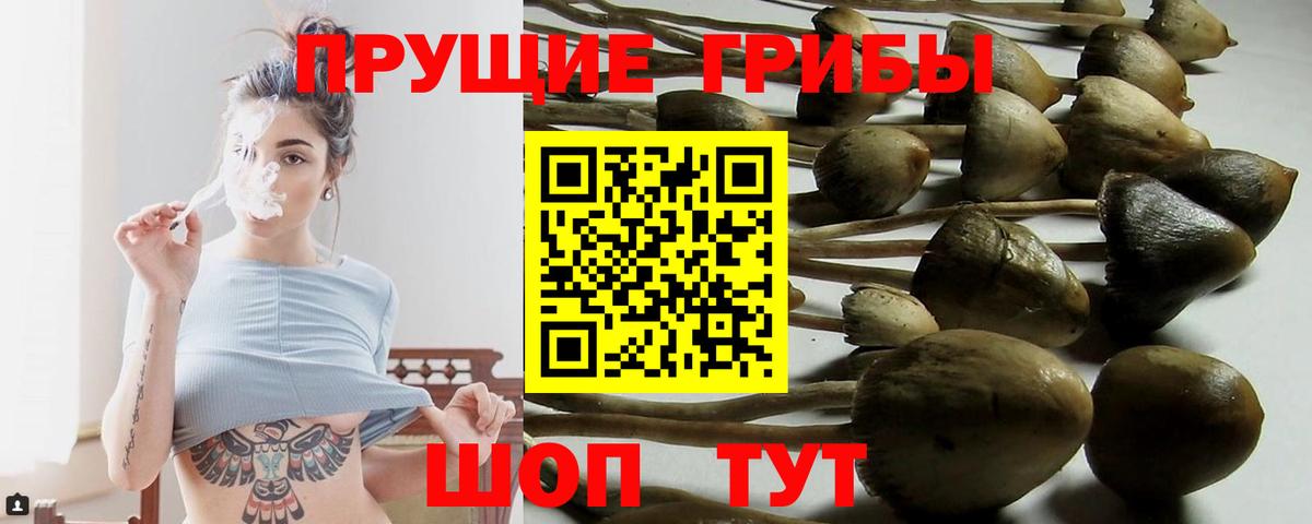 Галлюциногенные грибы Psilocybe  Вход с VPN  Лянтор 